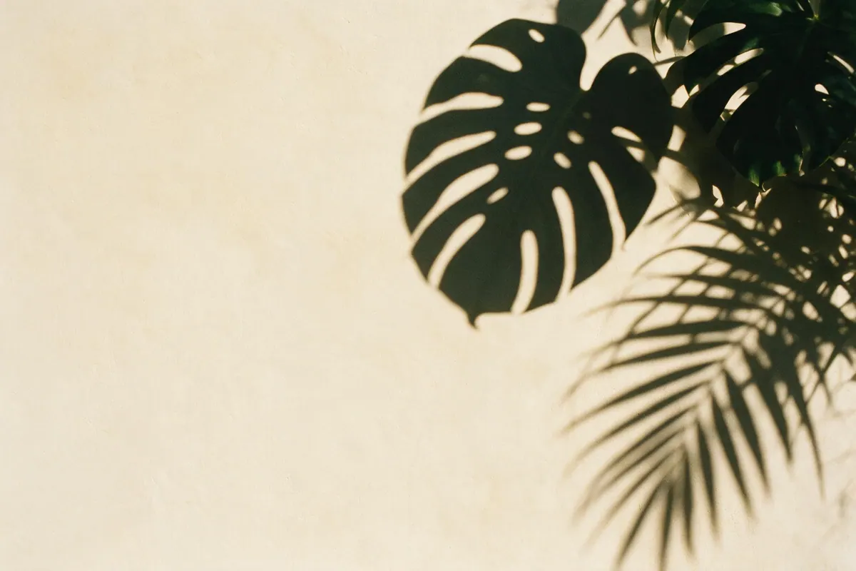 Sharp shadows of large leaves thrown across a warm plaster wall by hard afternoon sun.
